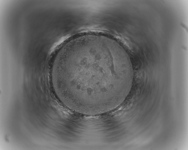 X0000096471159200801241422