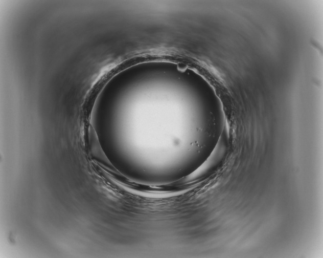 X0000096471160200801241422