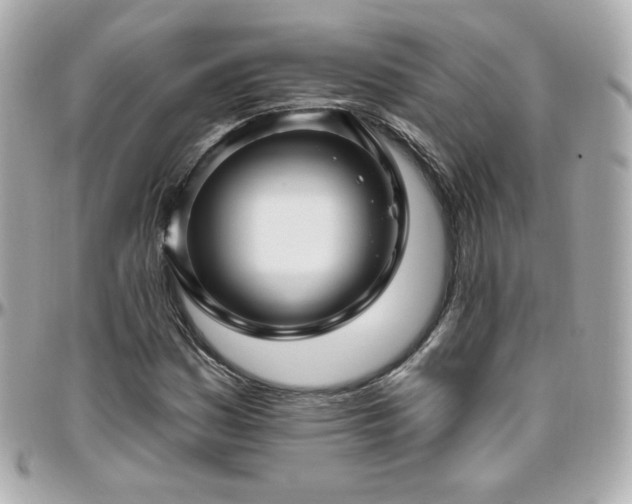 X0000096471161200801241422