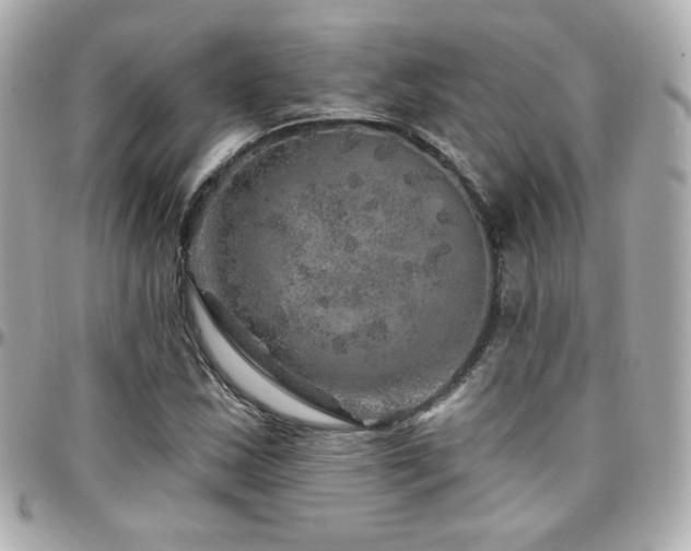 X0000096471163200801241422