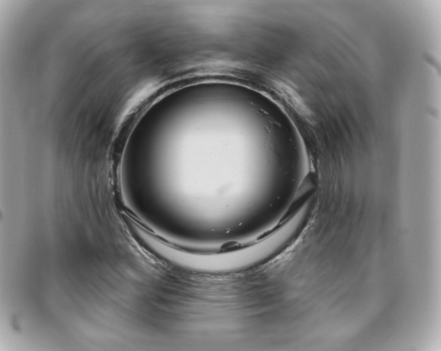 X0000096471164200801241422