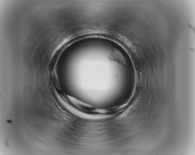 X0000096471165200801241422