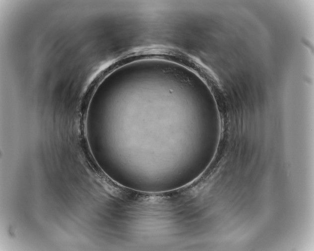 X0000096471166200801241422