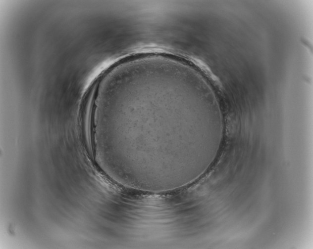 X0000096471167200801241422