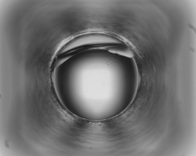 X0000096471168200801241422