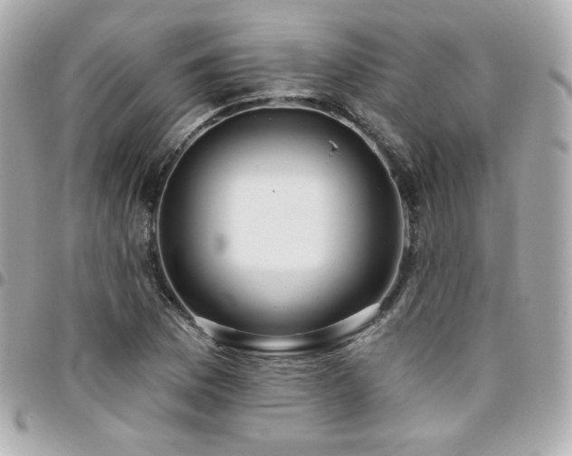 X0000096471169200801241422