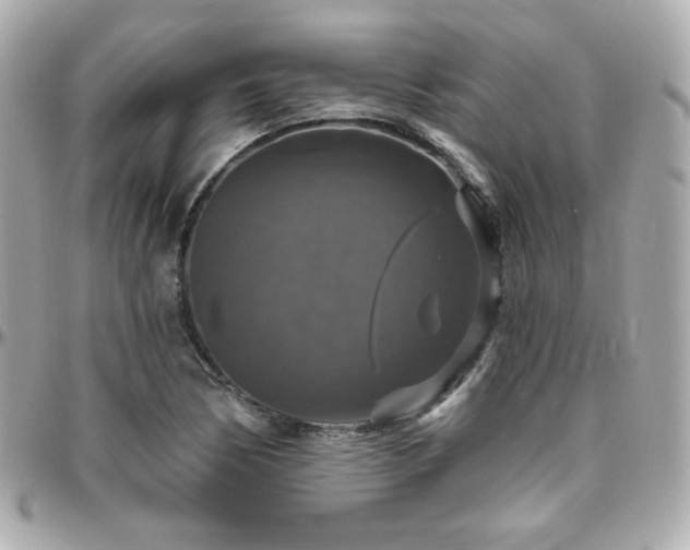 X0000096471170200801241422