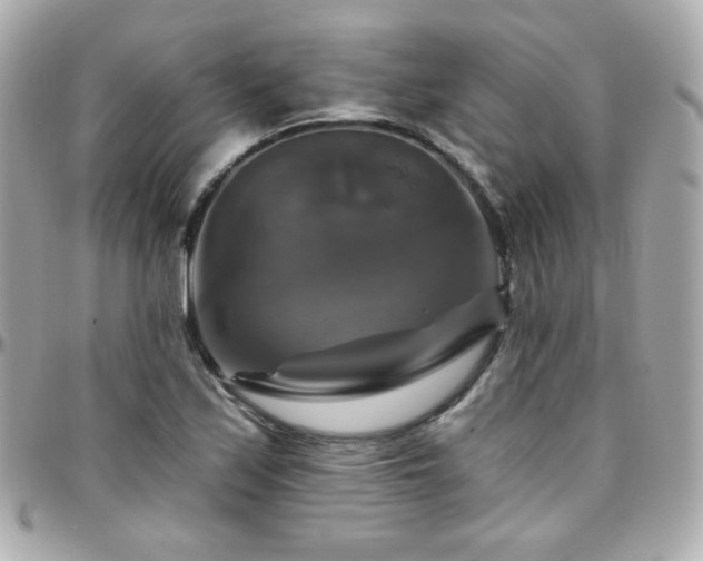 X0000096471171200801241422