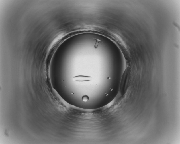 X0000096471172200801241422