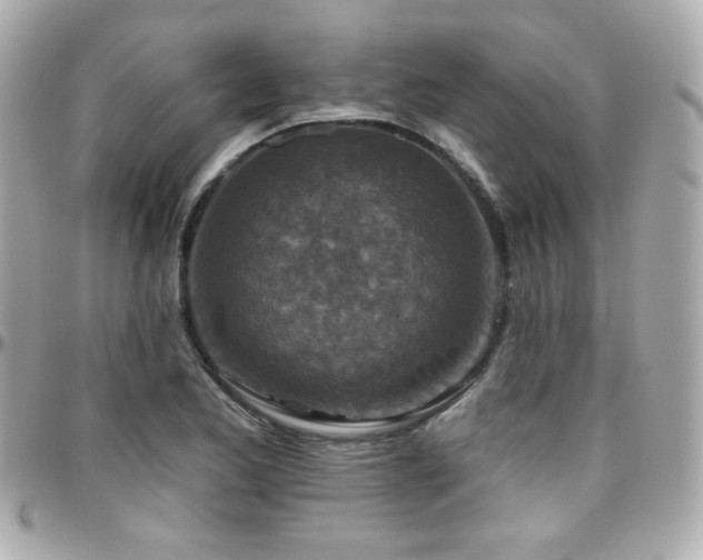 X0000096471173200801241422