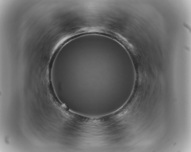 X0000096471174200801241422