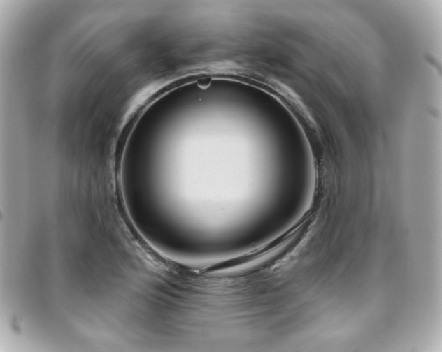 X0000096471176200801241422