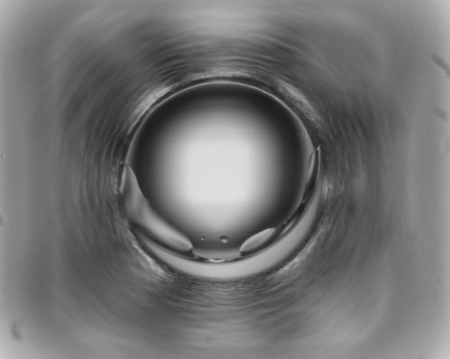 X0000096471177200801241422