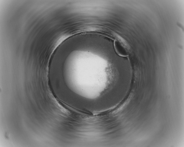 X0000096471178200801241422