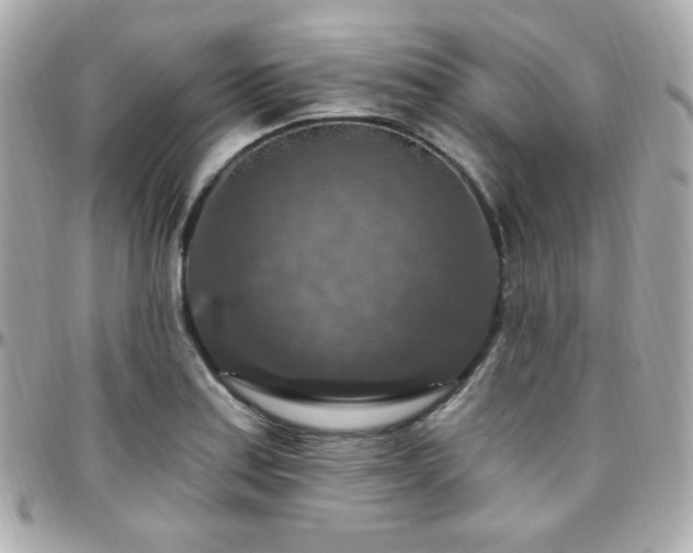 X0000096471179200801241422