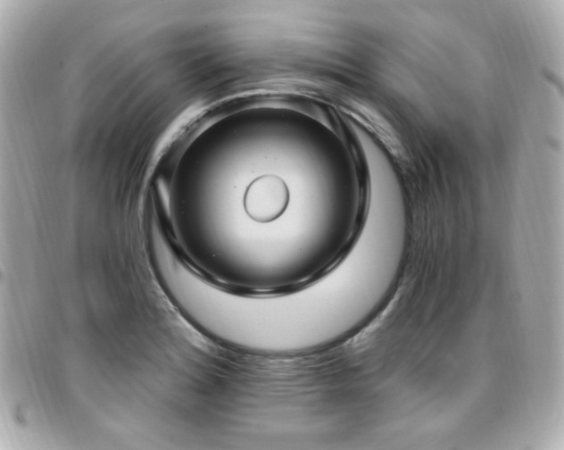 X0000096471180200801241422