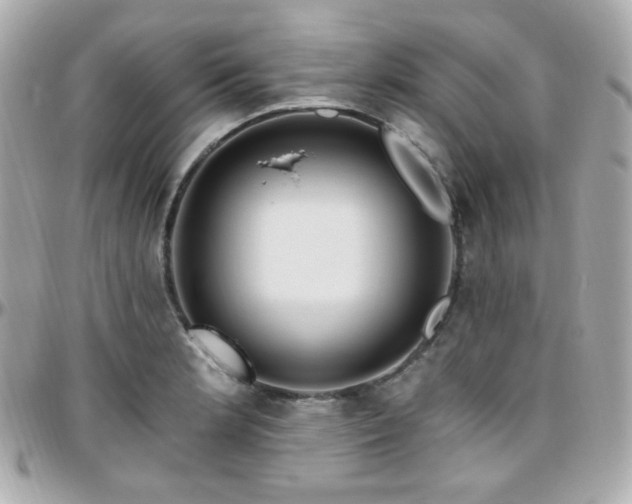 X0000096471181200801241422