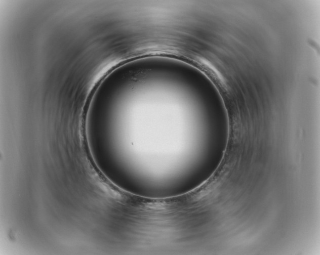 X0000096471182200801241422