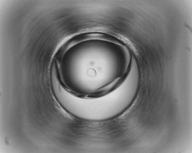 X0000096471184200801241422