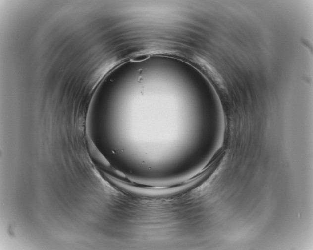 X0000096471185200801241422