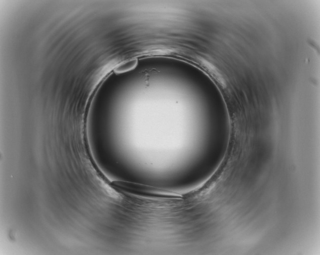 X0000096471186200801241422