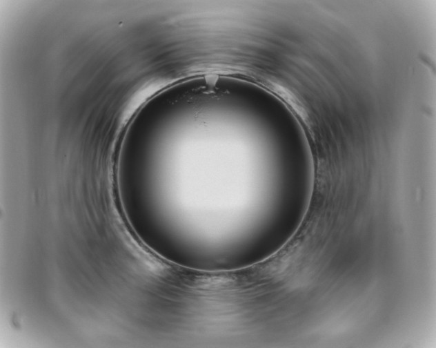 X0000096471187200801241422