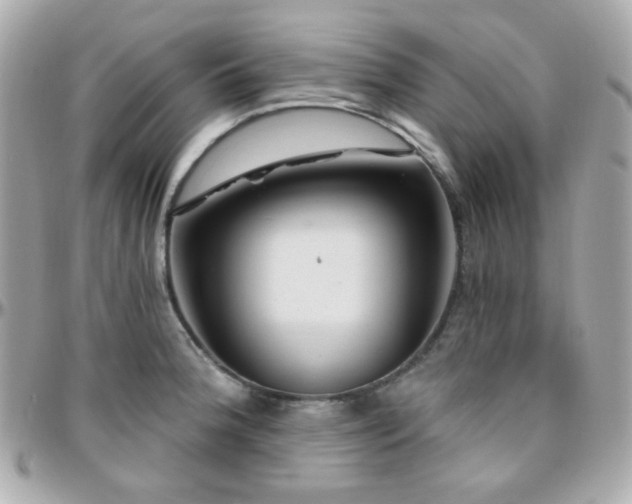 X0000096471188200801241422