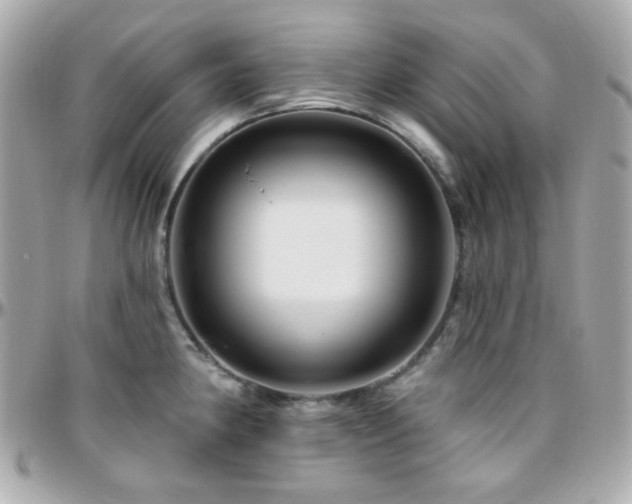 X0000096471190200801241422