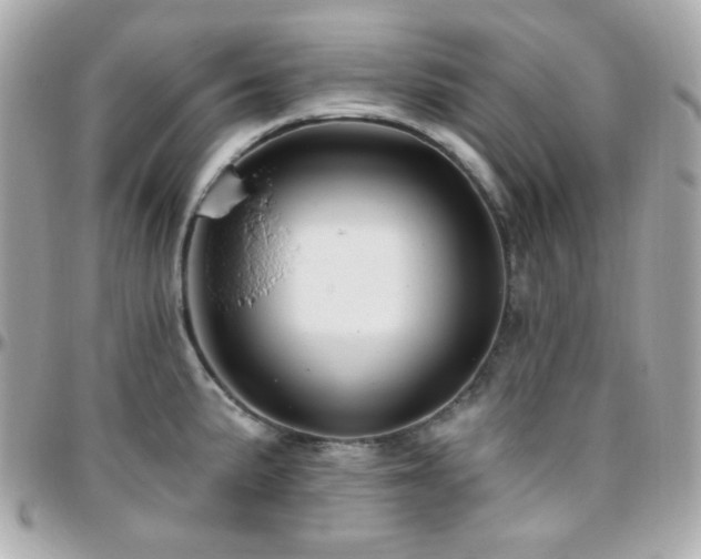 X0000096471191200801241422