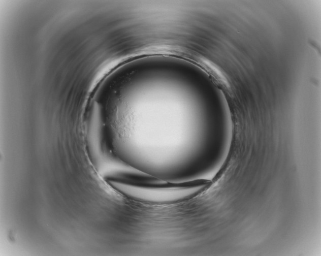 X0000096471192200801241422