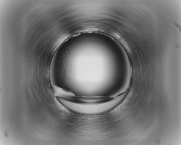 X0000096471193200801241422