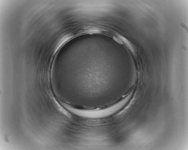 X0000096471194200801241422