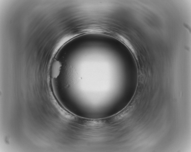 X0000096471195200801241422