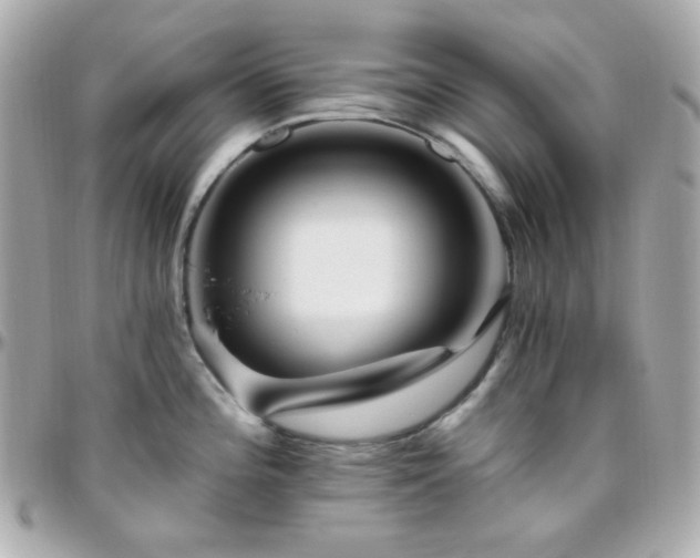 X0000096471196200801241422