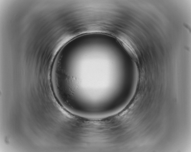 X0000096471197200801241422