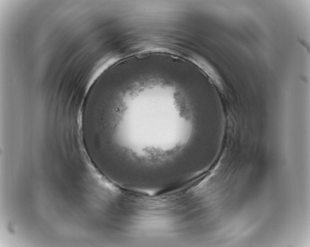 X0000096471198200801241422