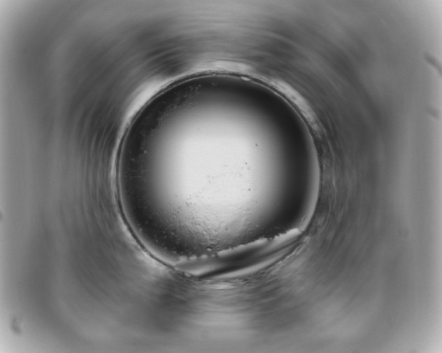 X0000096471199200801241422