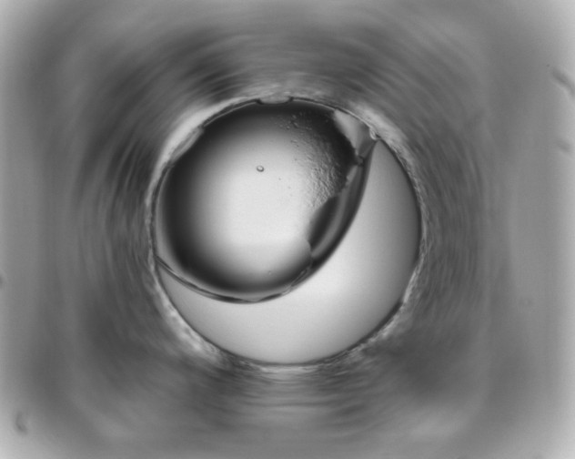 X0000096471200200801241422