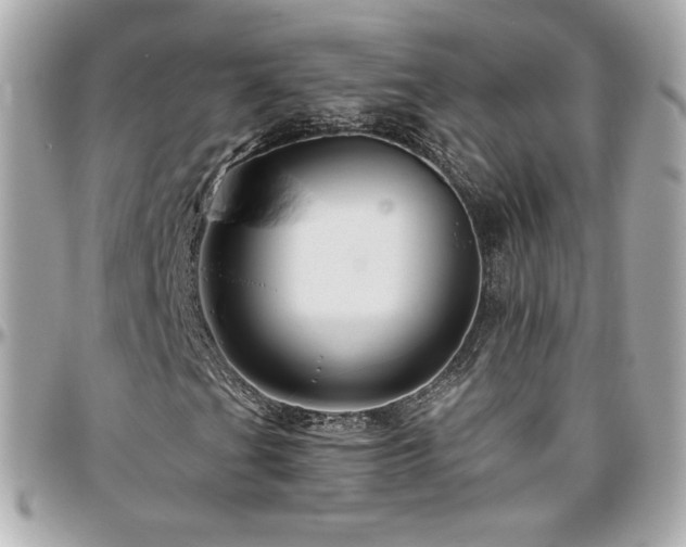 X0000096471201200801241421