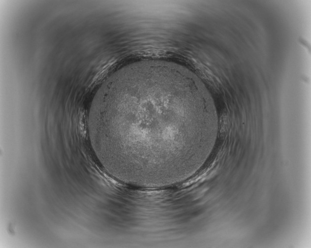 X0000096471202200801241421