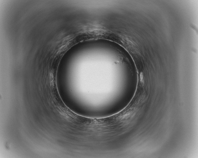 X0000096471203200801241421