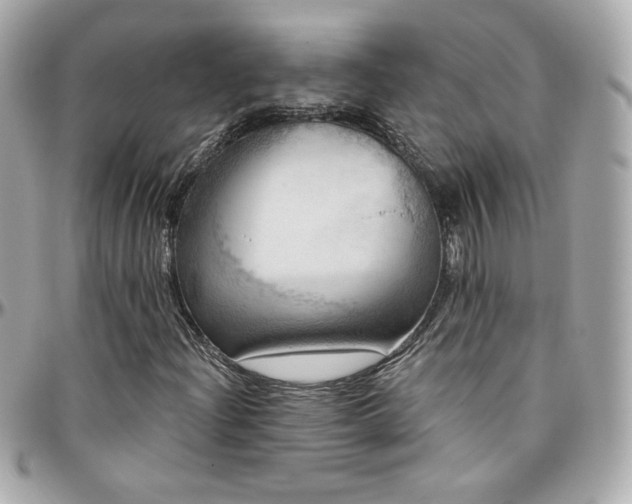 X0000096471204200801241421