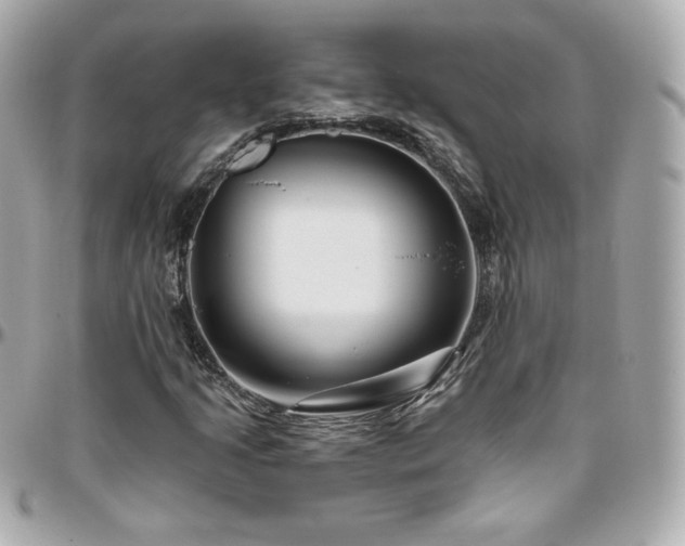 X0000096471205200801241421