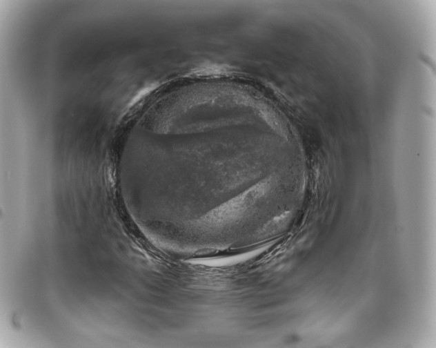 X0000096471206200801241421