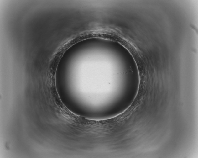 X0000096471207200801241421