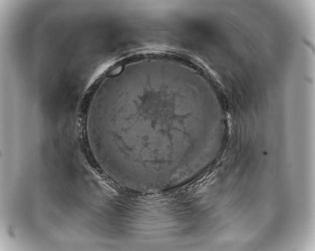 X0000096471208200801241421