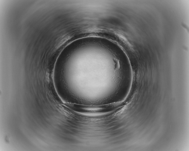 X0000096471209200801241421