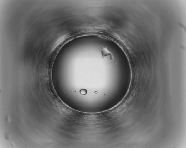 X0000096471211200801241421