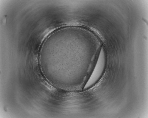 X0000096471212200801241421