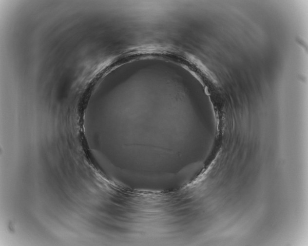 X0000096471213200801241421